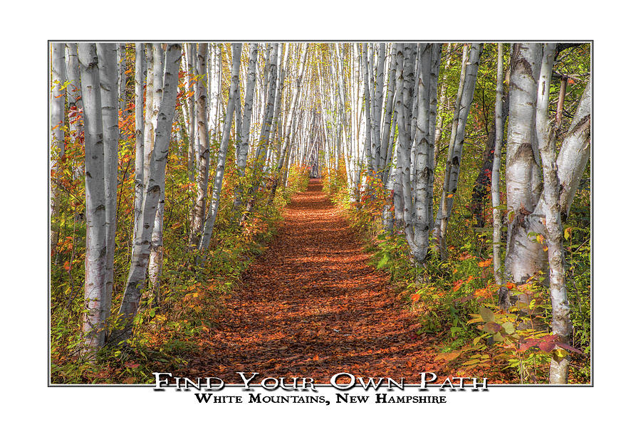 Find Your Own Path Autumn Photograph by White Mountain Images