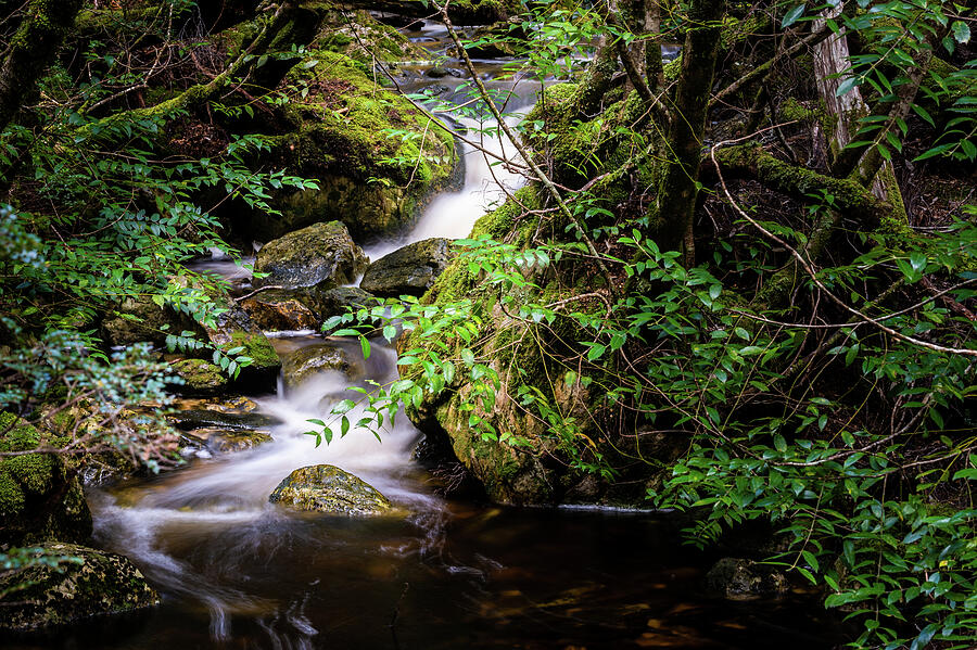 Waterfall Photograph - Finding A Way by Hugh Warren