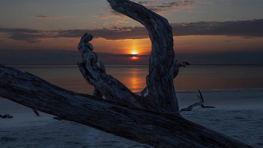 Beach Photograph - Finding the Sun by Gordon Elwell