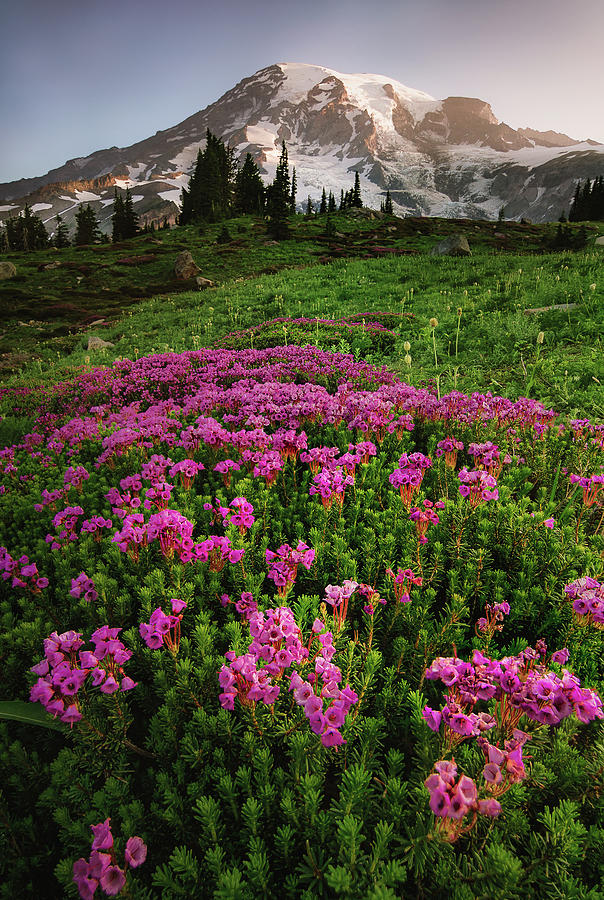 Finding zen on a mountaintop Photograph by Trevor Parker - Fine Art America