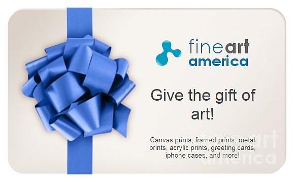Fine Art America Gift Card, IMAGE NOT FOR SALE, Link at bottom of page under SHOP Photograph by Timothy Flanigan