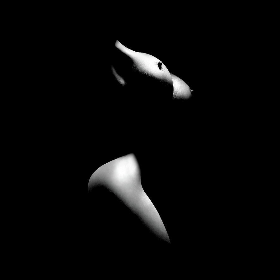 Black And White Photograph - Fine Art Nude Woman Bodyscape 11 by Az Jackson