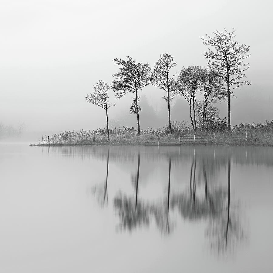 Fine Trees from the misty shore of Loch Ard Photograph by Grant Glendinning
