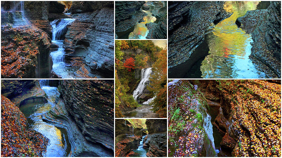 Finger Lakes Gorges Collage Photograph by Jessica Jenney