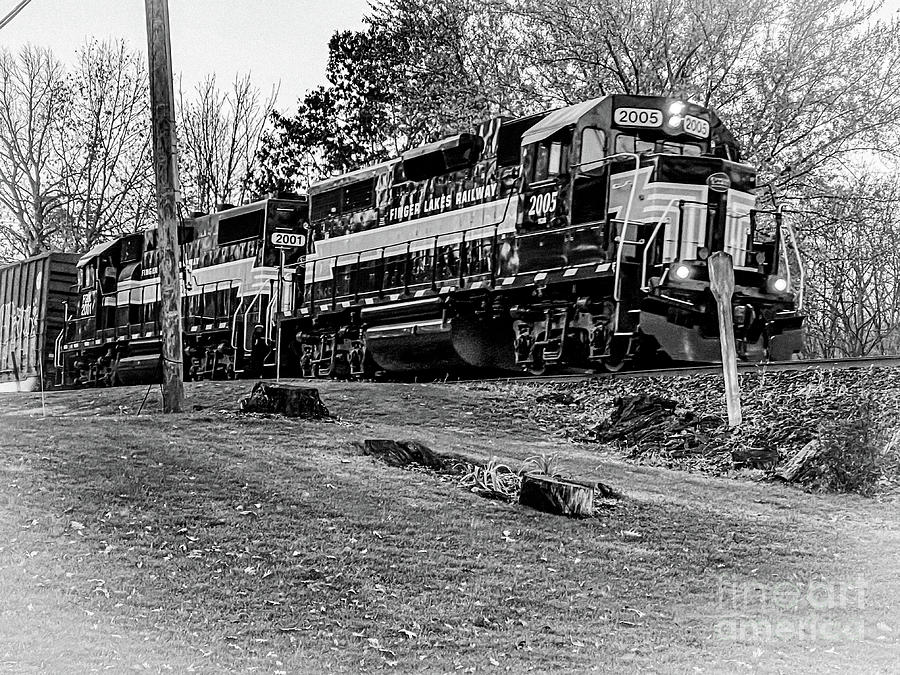 Finger Lakes Railway 2005 Photograph by William Norton