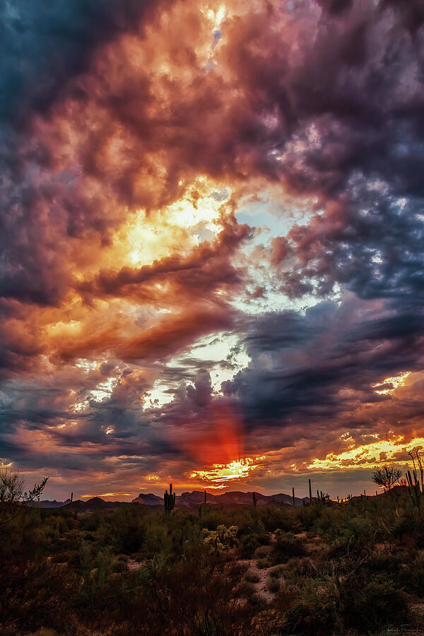Finger Painted Sunset Photograph by Rick Furmanek