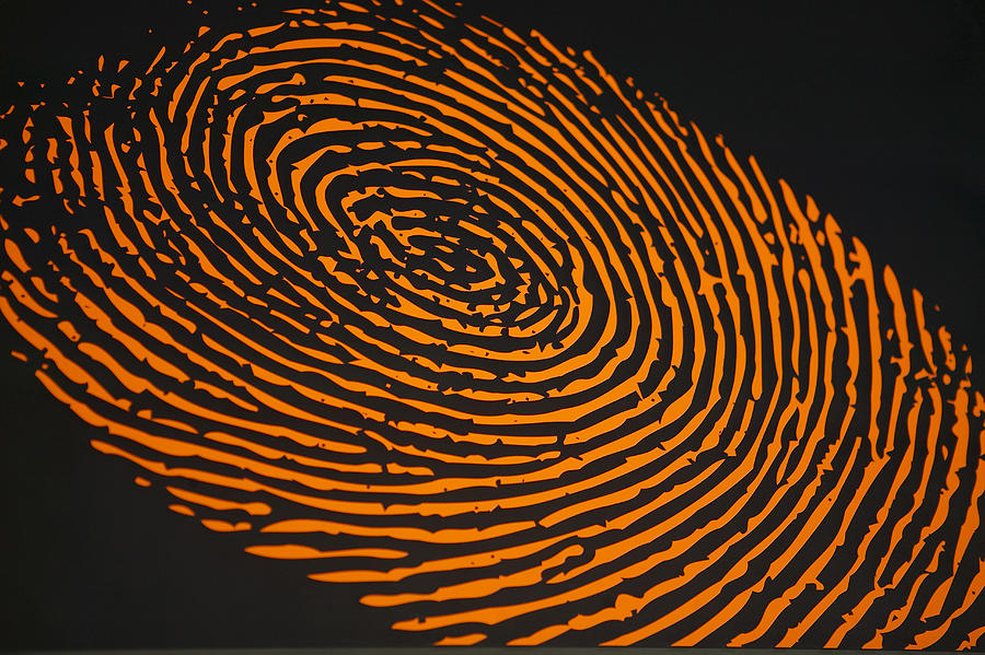 Fingerprint Photograph by Hemera Technologies