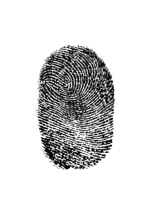 Fingerprint on white background Photograph by Peter Dazeley