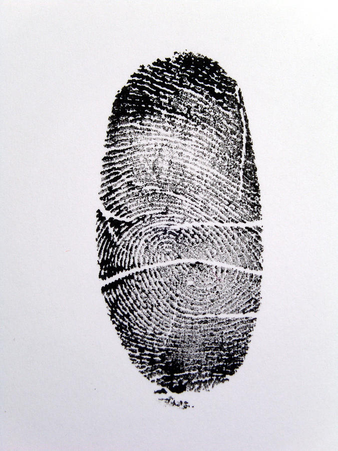 Fingerprint Photograph by Zennie
