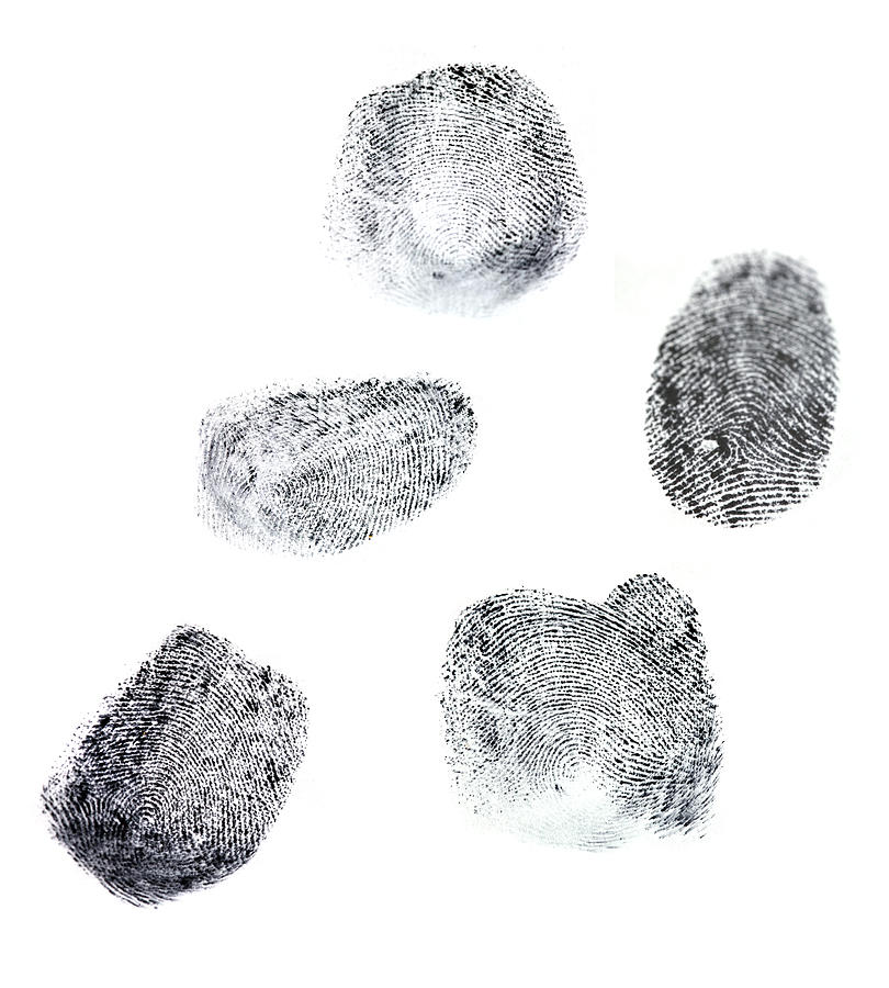 Fingerprints Photograph by Blackwaterimages
