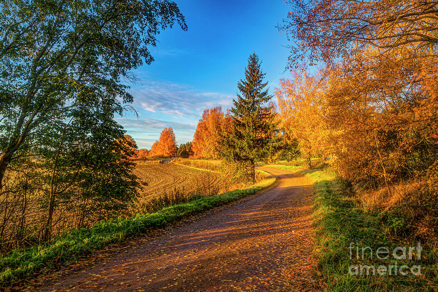 Finlands Autumn Road Photograph By Veikko Suikkanen Fine Art America