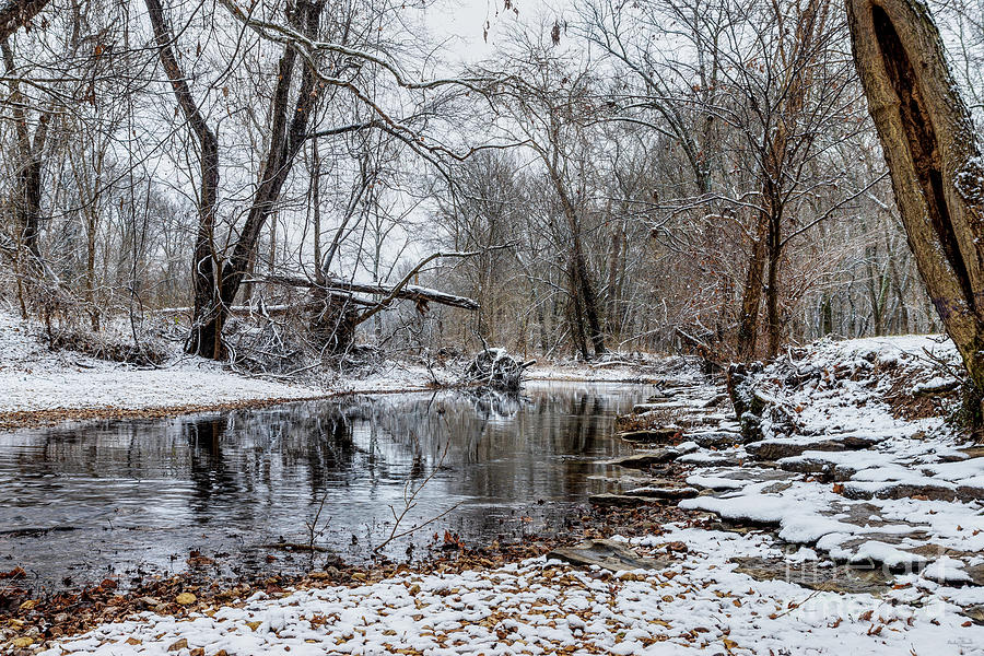 Finley Winter Snow Photograph by Jennifer White
