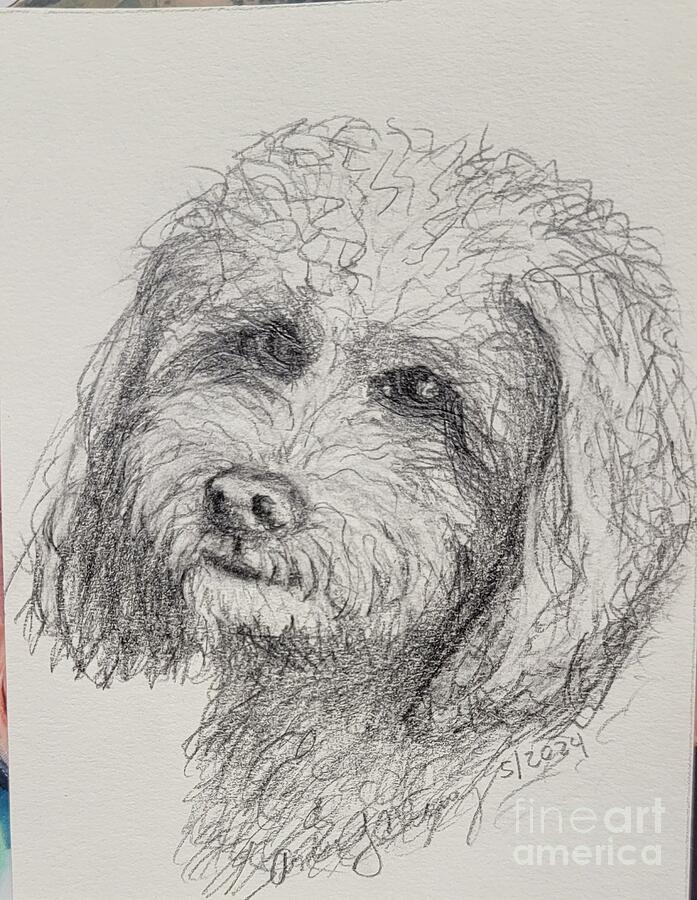 Finnigan Drawing by Angela J Murray Finnigan Drawing by Angela J Murray