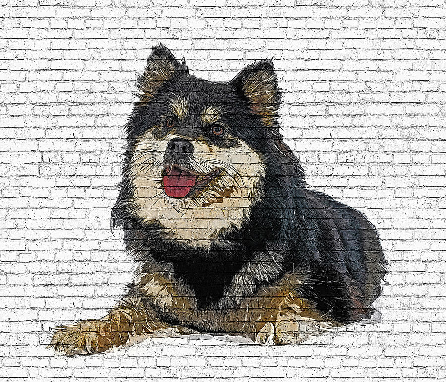 Finnish Lapphund Dog - Brick Block Background Painting by Custom Pet Portrait Art Studio