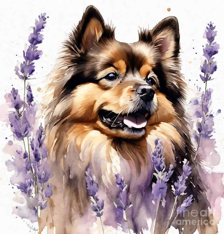 Finnish Lapphund Lavender Pets Ink Dogs Brown Finnish Lapphund Digital Art