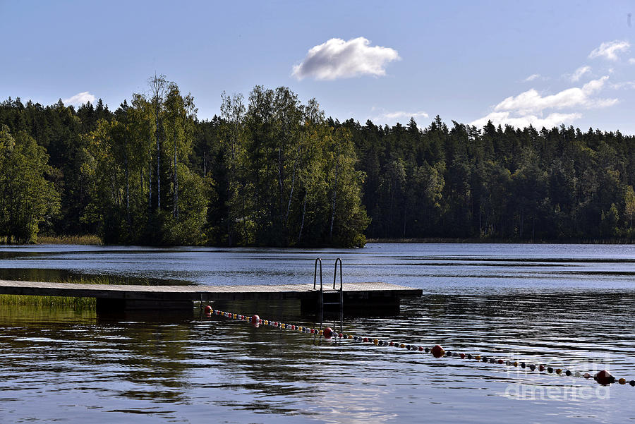 Finnish Summer 1 Photograph