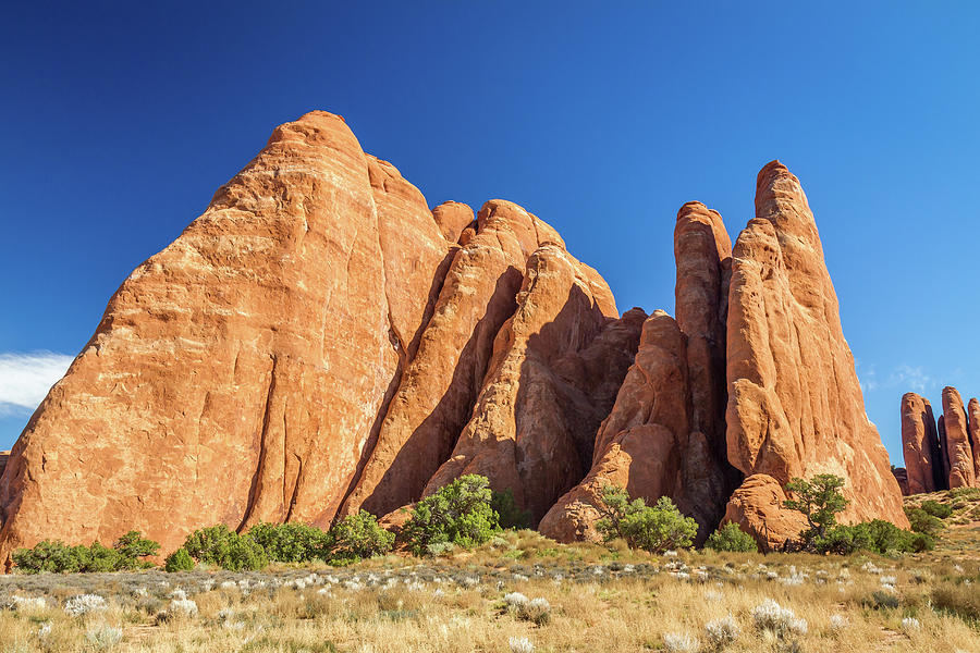 Fins in Arches National Park Photograph by Pierre Leclerc Photography