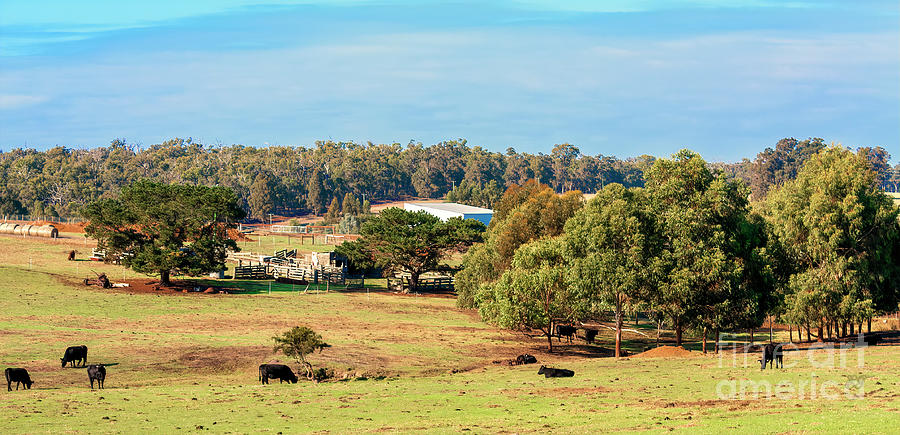 Fionas Farm, Bridgetown, Western Australia Photograph by Elaine Teague
