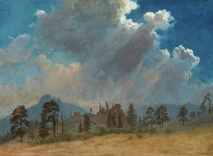 Fir Trees and Storm Clouds Painting by Albert Bierstadt