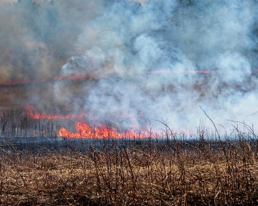 Fire 3, UW Arboretum, Madison, WI Photograph by Steven Ralser