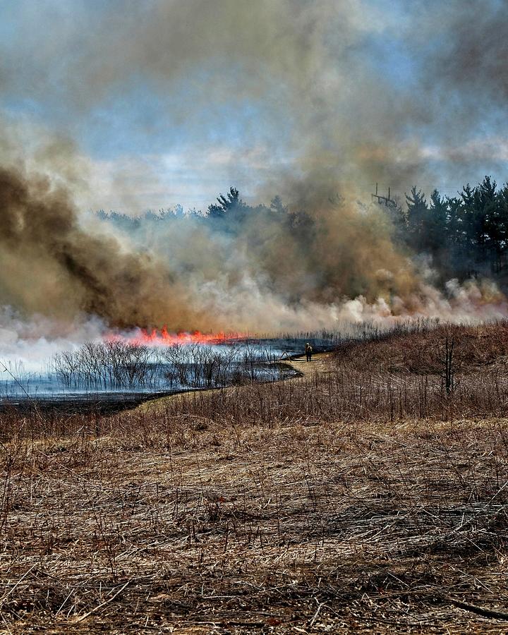 Fire 4, UW Arboretum, Madison, WI Photograph by Steven Ralser