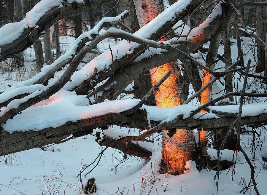 Fire and Ice Photograph by Brian Jay