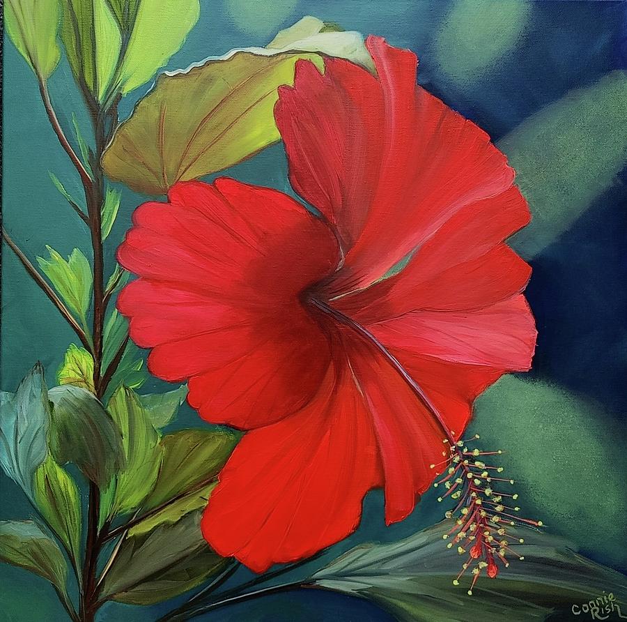 Fire and Ice Hibiscus  Painting by Connie Rish