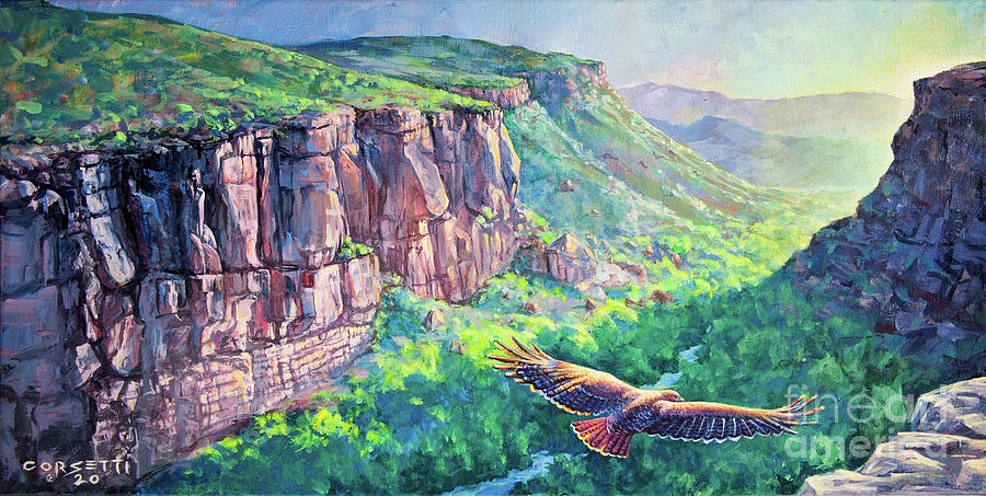 Fire Bird - Red Tailed Hawk over Santa Clara Painting by Robert Corsetti