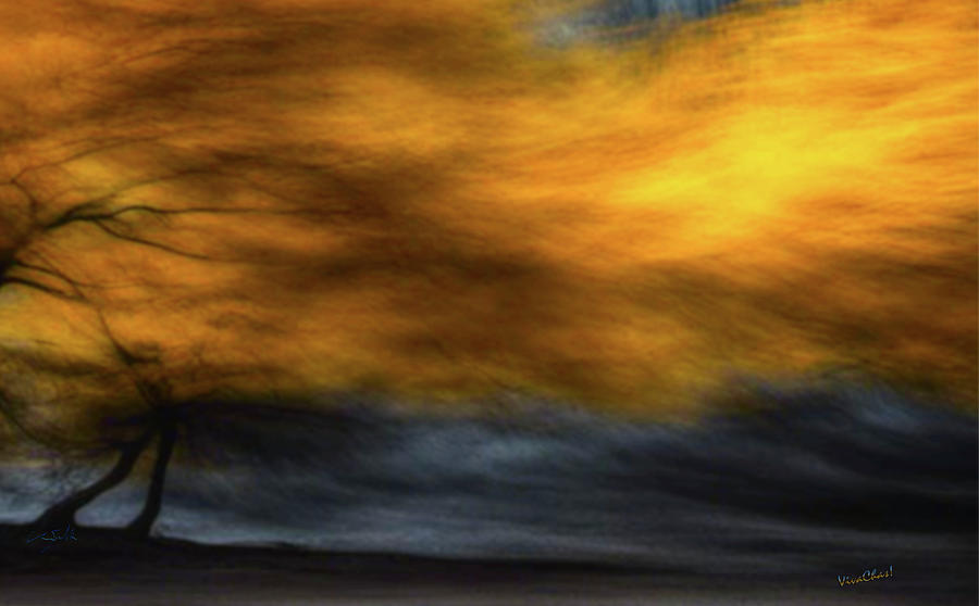 Fire Burns Wind Blows Digital Art by Chas Sinklier