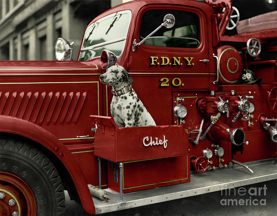 Fire Engine F.D.N.Y  Photograph by Franchi Torres