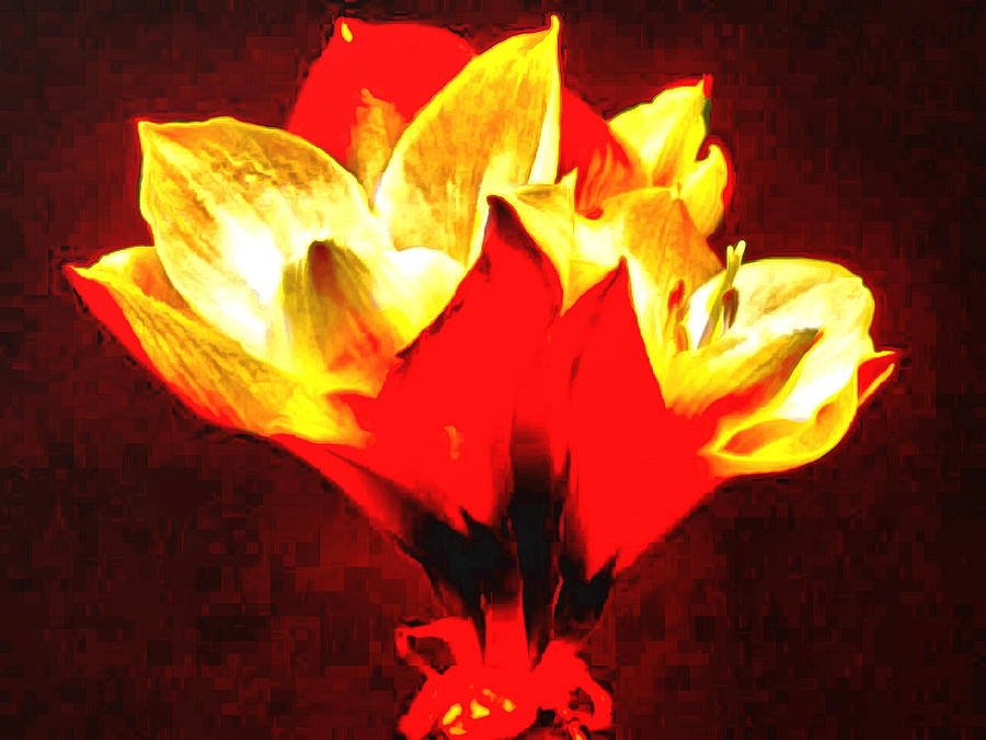 Fire  Flower Mixed Media