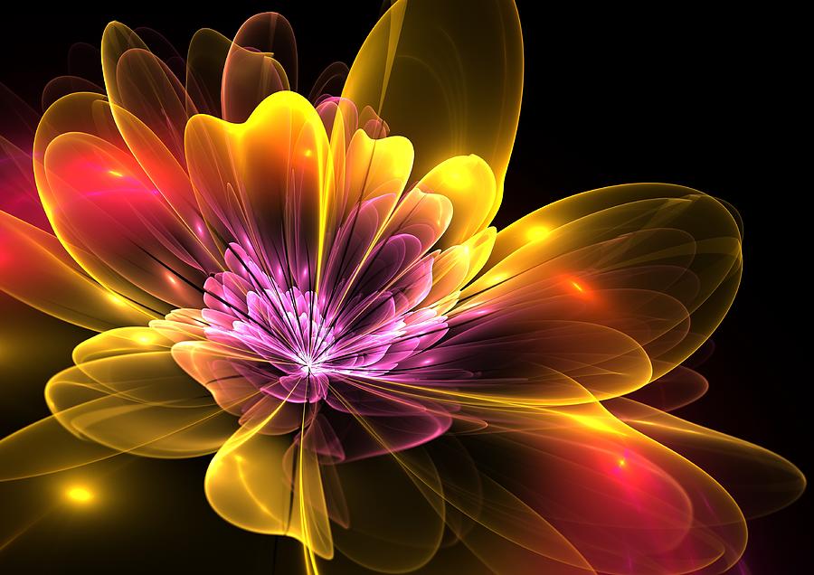 Abstract Digital Art - Fire Flower by Svetlana Nikolova