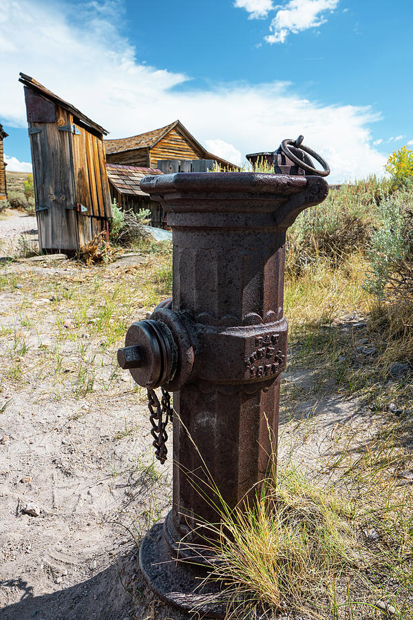 Fire Hydrant in the Ghost Town of Bodie Photograph by Ron Long Ltd Photography