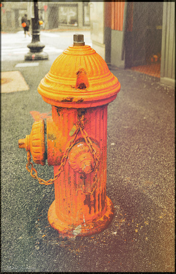 Fire Hydrant Photograph by Kathi Isserman
