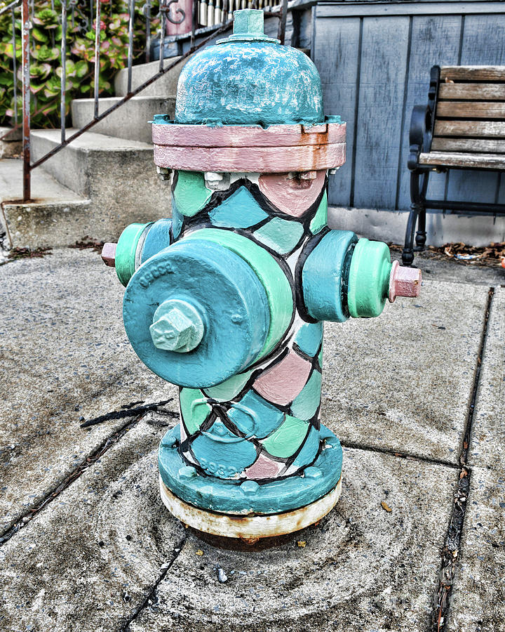 Pipe Photograph - Fire Hydrant Urban Art scales by Paul Ward