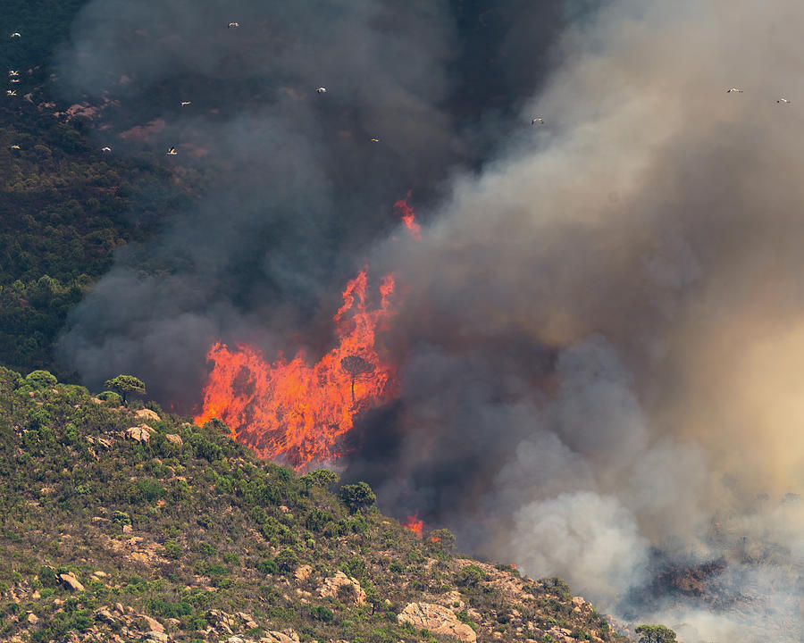 Fire in the Moroccan Desert Near the Port of Tangier Photograph by William Dickman