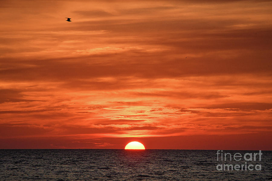 Fire in the Sky Coastal Sunset Landscape Photograph Photograph by PIPA Fine Art - Simply Solid