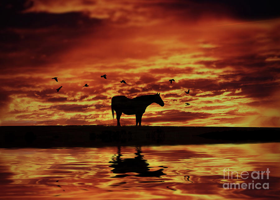 Fire in the Sky Horse and Water Photograph by Stephanie Laird