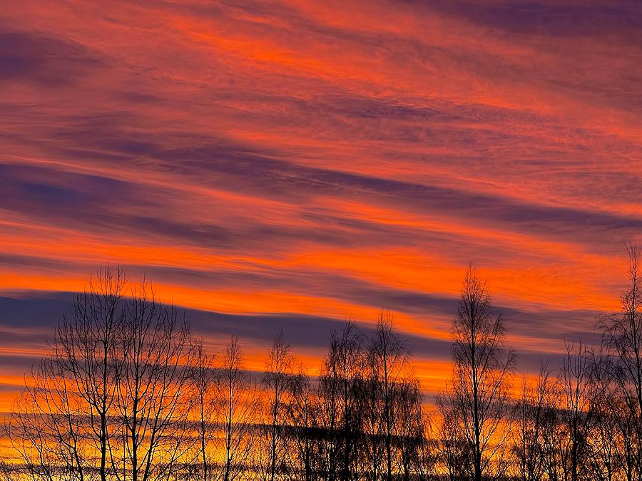 Winter Photograph - Fire in the sky by Maria Jansson