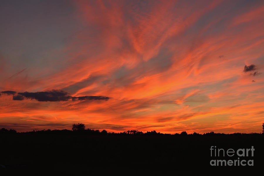 Fire in the sky Photograph by Norma A Lahens