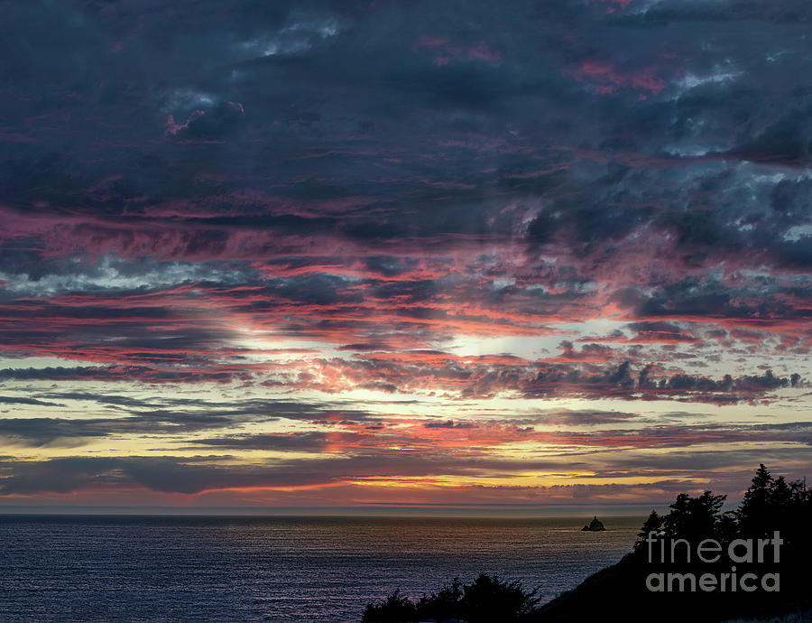 Sunset Photograph - Fire In The Sky by Sandra Bronstein