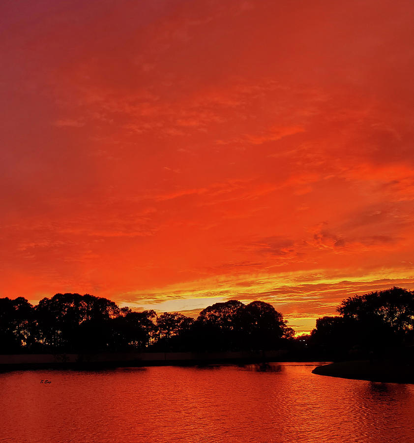 Fire in the Sky Photograph by Sharon Williams Eng