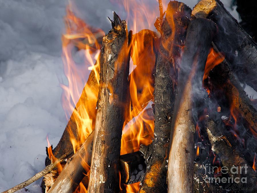 Fire Pit Photograph - Fire Logs by Images Undefined