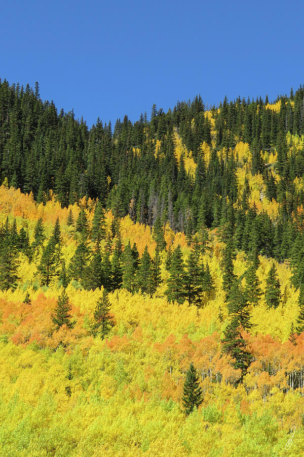 Fire on the Hillside Photograph by Joe Owens - Fine Art America