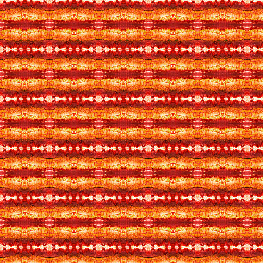 Fire Pattern Digital Art by Mary Poliquin - Policain Creations