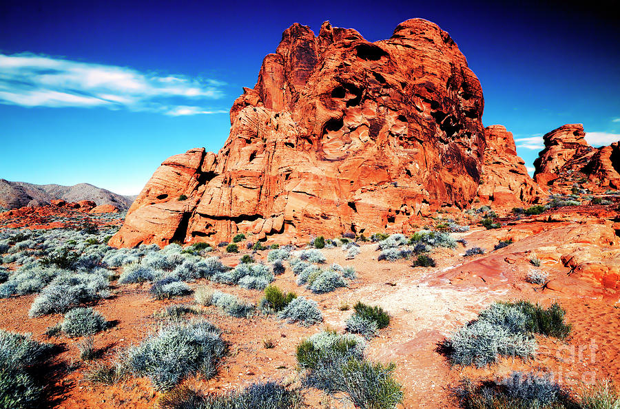 Fire Rock at the Valley of Fire Photograph by John Rizzuto