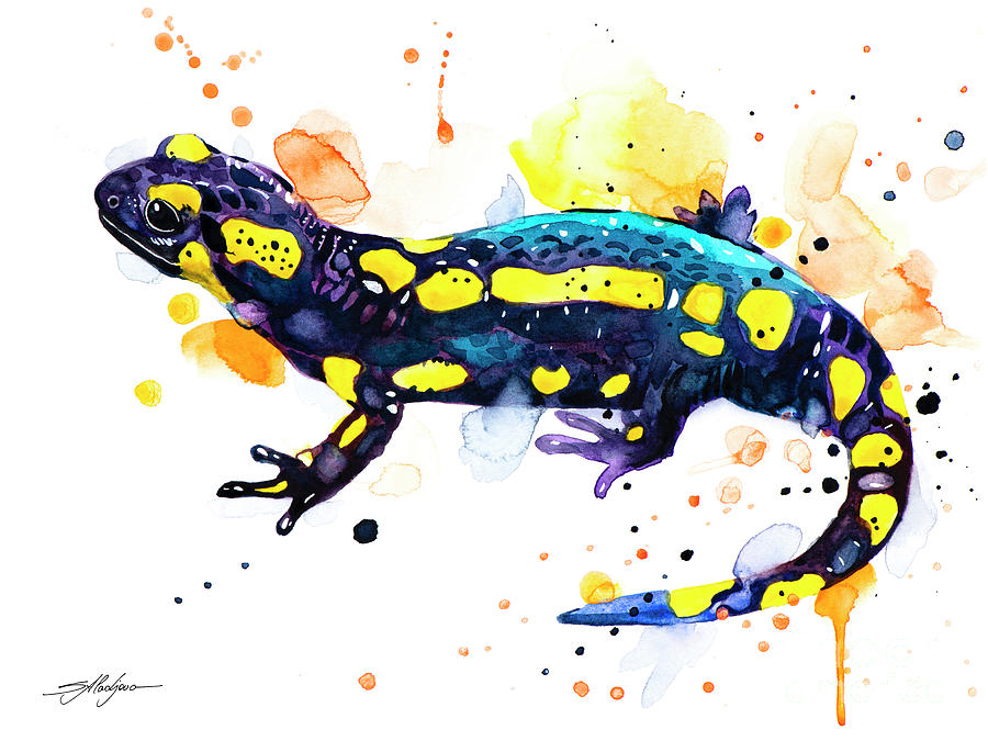 Fire salamander Painting by Slavi Aladjova - Fine Art America