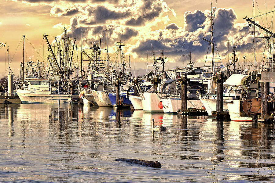 Fire Sky Marina Photograph by Craig Upshaw - Fine Art America