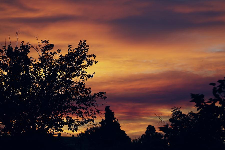 Fire Sky Photograph by Michele Myers