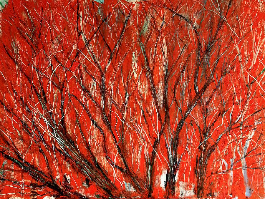 Fire Tree Drawing by Sig RUNDSTROM